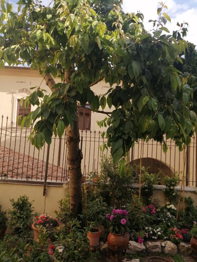 B&B Bone Novelle Dimora Storica Palazzo Zuzi L'Aquila Luaran gambar